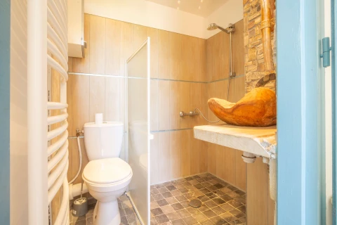 Le Peintre, Vakantiehuis, Provence, people: 6