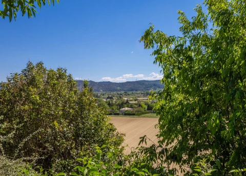 Le Peintre, Vakantiehuis, Provence, people: 6