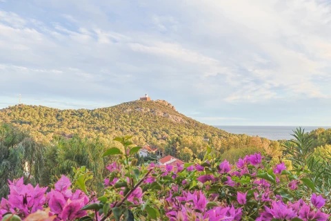 Maison de vacances en Côte d'azur pour 4 personnes - Le Petit Bleu