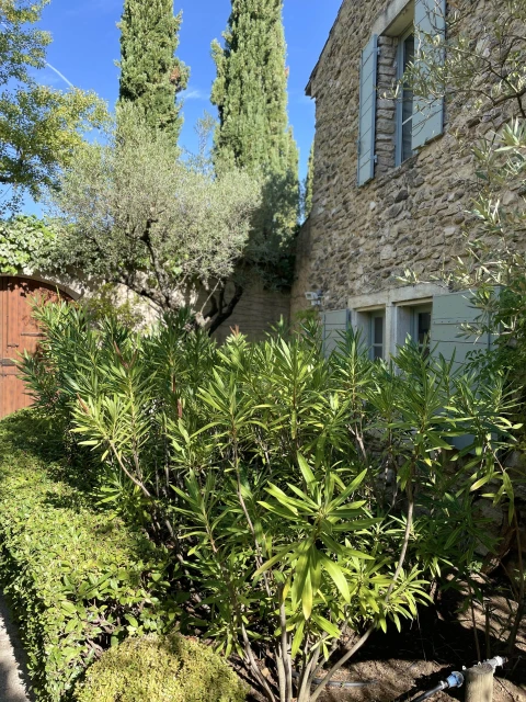 Le Petit Jardin du Luberon, Vakantiehuis, Provence, people: 4