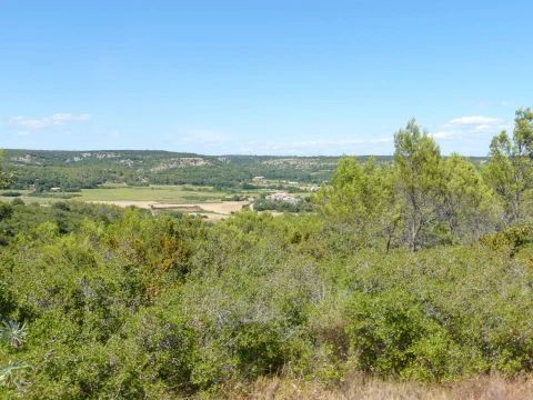 Le Petit Mas, Vakantiehuis, Languedoc-Roussillon, people: 6