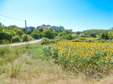 Le Petit Mas, Vakantiehuis, Languedoc-Roussillon, people: 6