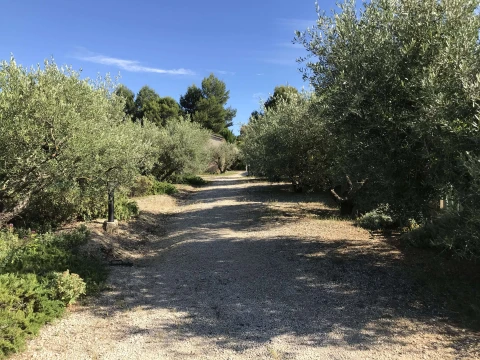 Le petit Mazet, Vakantiehuis, Provence, people: 4