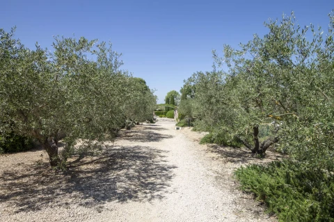 Le petit Mazet, Vakantiehuis, Provence, people: 4
