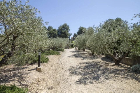 Le petit Mazet, Vakantiehuis, Provence, people: 4