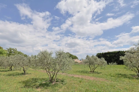 Le Petit Nid, Vakantiehuis, Provence, people: 4