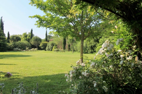 Le petit oiseau, Vakantiehuis, Provence, people: 2