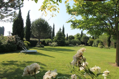 Le petit oiseau, Vakantiehuis, Provence, people: 2