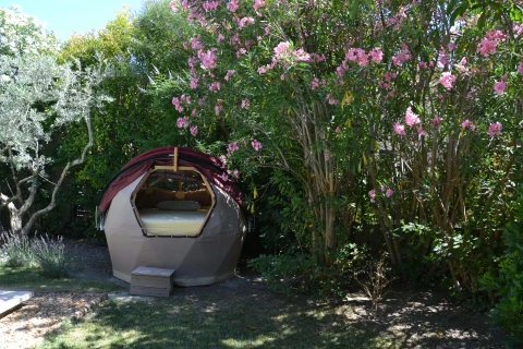 Le Petit Olivier, Vakantiehuis, Provence, people: 6