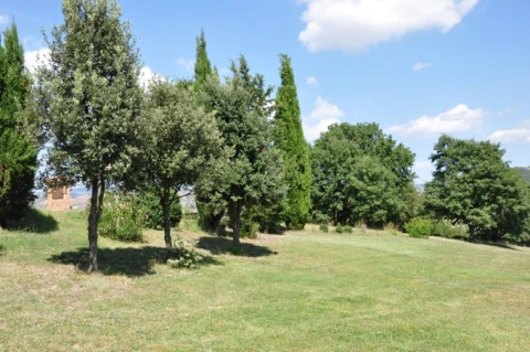Le Querce Amiata, vakantiehuisVilla, Toscane, people: 4