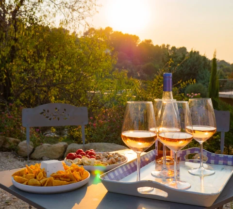 Le Rossignol d'Apt, Vakantiehuis, Provence, people: 16