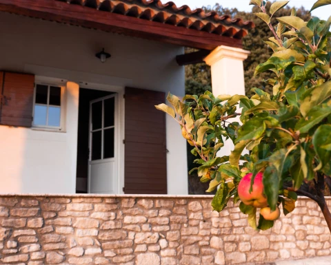 Le Rossignol d'Apt, Vakantiehuis, Provence, people: 16