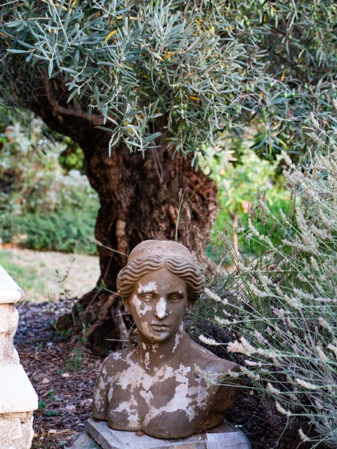 Le Rossignol d'Apt, Vakantiehuis, Provence, people: 16