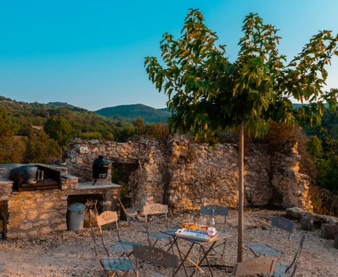 Vakantiehuis in Provence voor 16 personen - Le Rossignol d'Apt
