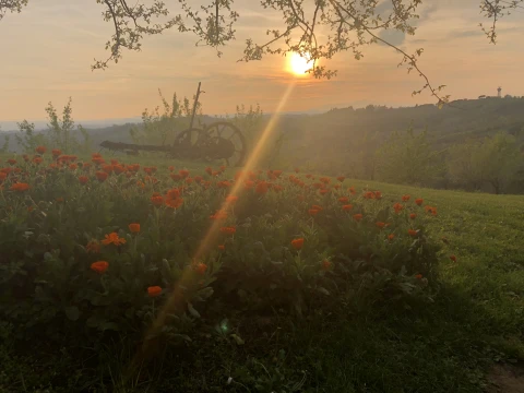 Vakantiehuis in Toscane voor 3 personen - Il Tempo Buono - Lento