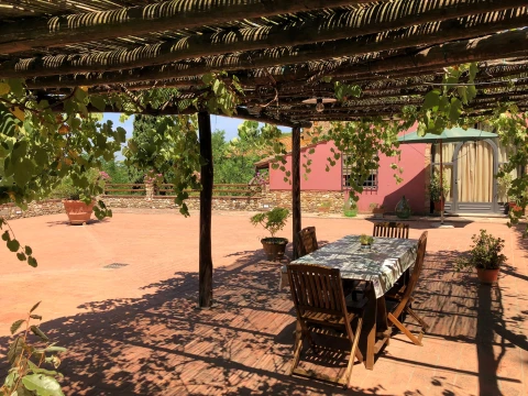 Vakantiehuis in Toscane voor 3 personen - Il Tempo Buono - Lento