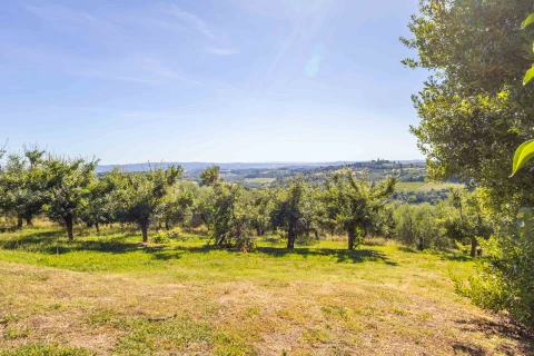 Maison de vacances en Toscane pour 3 personnes - Il Tempo Buono - Lento
