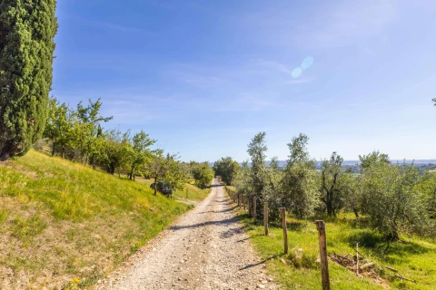 Maison de vacances en Toscane pour 3 personnes - Il Tempo Buono - Lento