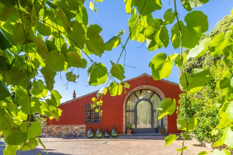 Maison de vacances en Toscane pour 3 personnes - Il Tempo Buono - Lento