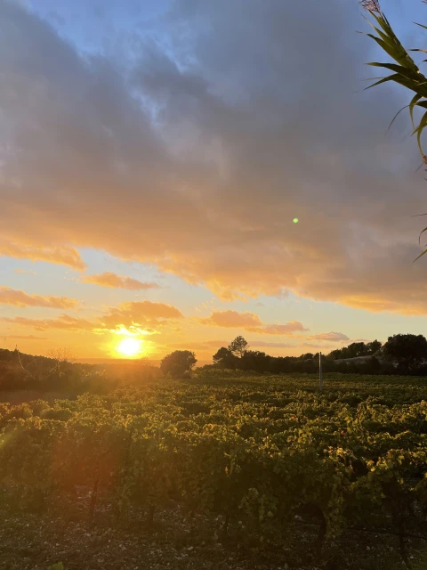 Vakantiehuis in Provence voor 10 personen - Amandou