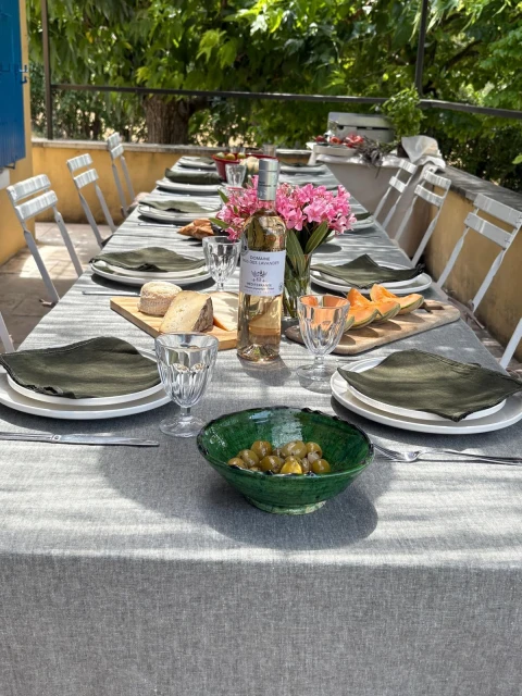 Holiday home in Provence for 10 people - Amandou