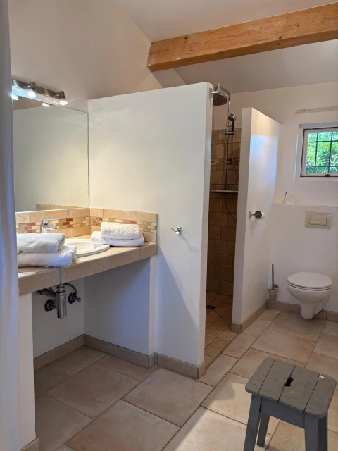 Holiday home in Provence for 10 people - Amandou