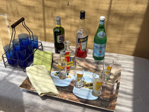 Holiday home in Provence for 10 people - Amandou
