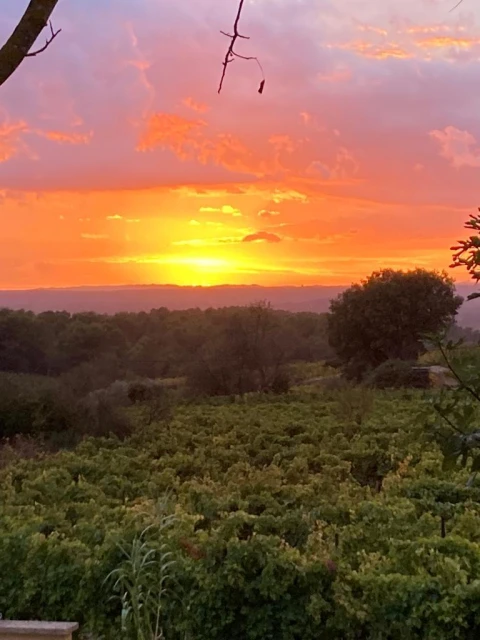 Holiday home in Provence for 10 people - Amandou