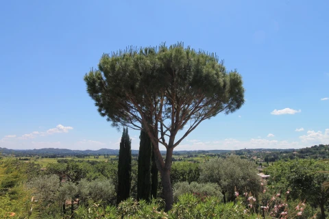 Les Cysthes, Vakantiehuis, Languedoc-Roussillon, people: 8