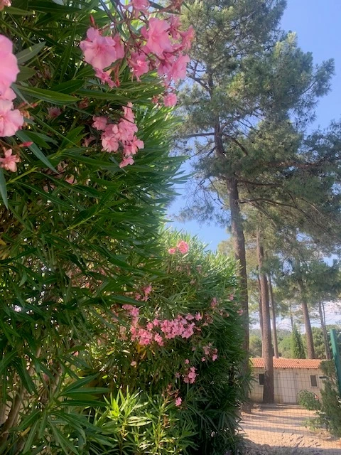 Les Lauriers, vakantiehuisVilla, Provence, people: 6