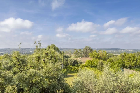 Les Oliviers, Vakantiehuis, Languedoc-Roussillon, people: 7