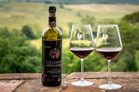 Holiday home in Tuscany for 10 people - Lilliano