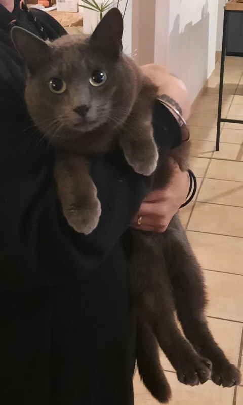 Maison de vacances en Provence pour 6 personnes - Lou Mas Mimi