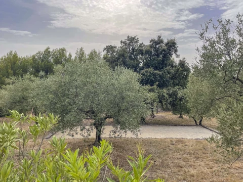 Lou Pebre, Vakantiehuis, Provence, people: 10