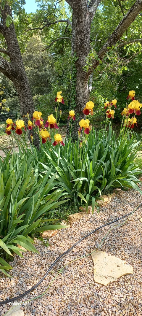 Holiday home in Provence for 8 people - Lumea en Provence