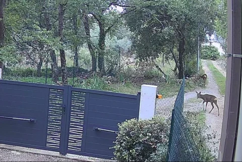 Vakantiehuis in Provence voor 8 personen - Lumea en Provence