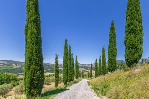 Ferienhaus in Toscane für 2 Personen - Macetona - Piccolo Casetta