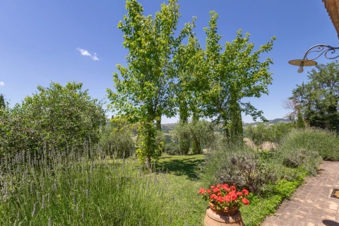 Ferienhaus in Toscane für 2 Personen - Macetona - Piccolo Casetta