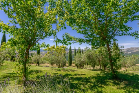 Ferienhaus in Toscane für 2 Personen - Macetona - Piccolo Casetta