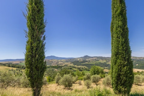 Ferienhaus in Toscane für 2 Personen - Macetona - Piccolo Casetta