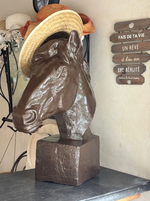 Macs Reve, Vakantiehuis, Provence, people: 10