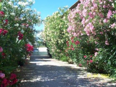 Maillane, vakantiehuisVilla, Provence, people: 6