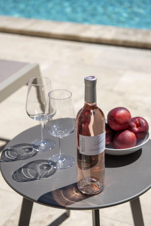 Maison Belleviste, Vakantiehuis, Provence, people: 8