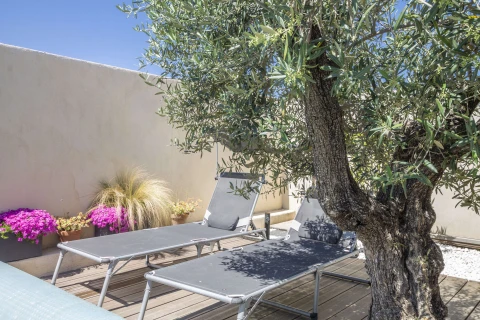 Maison des Fleurs, Vakantiehuis, Provence, people: 4