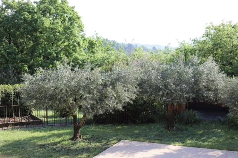 Maison des Lilas Blanc, Vakantiehuis, Provence, people: 7