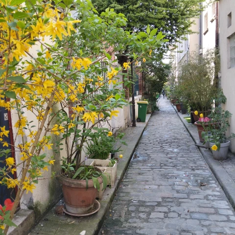 Maison des Tulipes, Vakantiehuis,  Île-de-France, people: 6