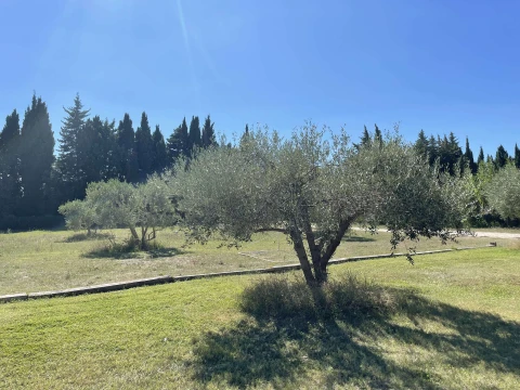 Maison Fontvieille, Vakantiehuis, Provence, people: 8