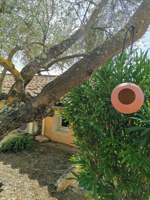 Vakantiehuis in Provence voor 6 personen - Le Paradis de Paloma