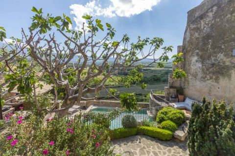 Maison Ventoux, Vakantiehuis, Provence, people: 7