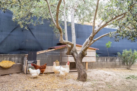 Ferienhaus in Languedoc-Roussillon für 5 Personen - Maison Yona